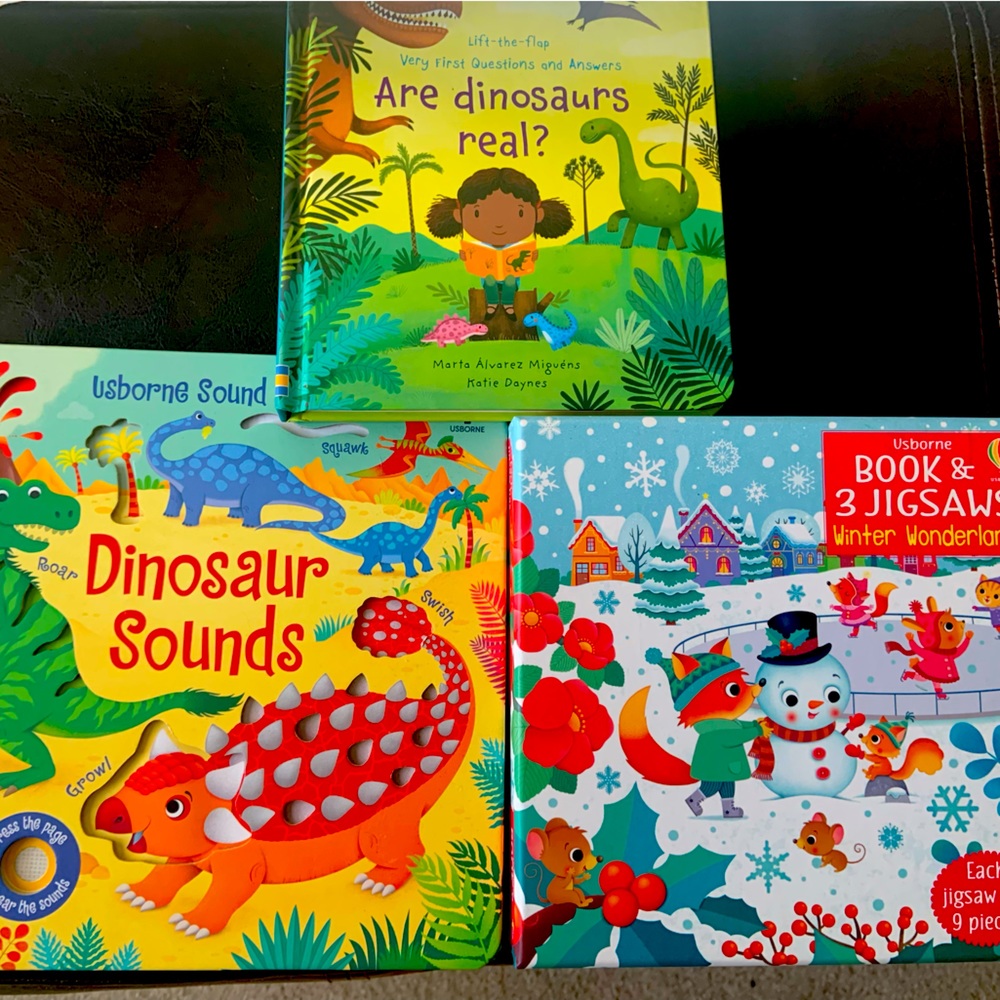 Usbourne books and puzzles